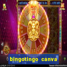 bingotingo canva pro gratis